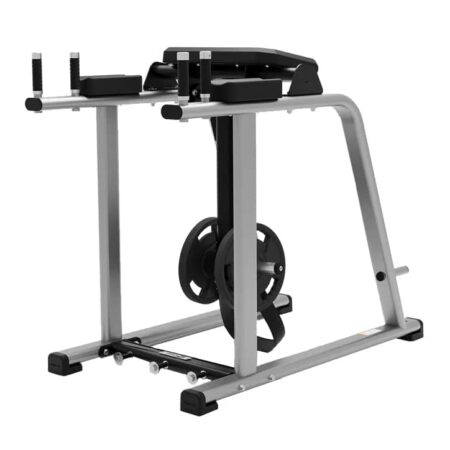 EXIGO Reverse Hyper Extension